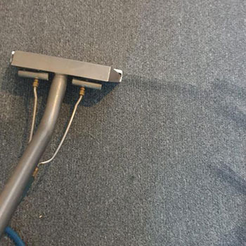carpet cleaning service ipswich