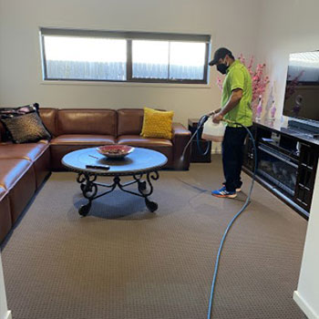 Professional Carpet Cleaners north brisbane